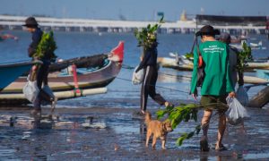 LindungiHutan Capai Target 1 Juta Pohon (Sumber: VRITIMES.com)