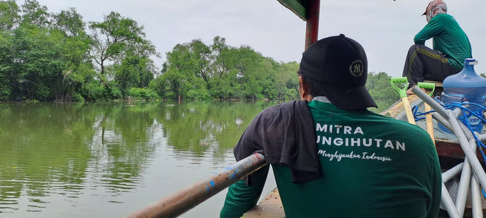 Upaya LindungiHutan Rehabilitasi Mangrove di Kota Pesisir