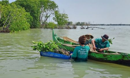 Kampanye Pohon Mangrove LindungiHutan (Sumber : VRITIMES.com)