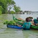 Kampanye Pohon Mangrove LindungiHutan (Sumber : VRITIMES.com)