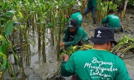 Penanaman Mangrove Event LindungiHutan (Sumber : VRITIMES.com)