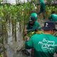 Penanaman Mangrove Event LindungiHutan (Sumber : VRITIMES.com)