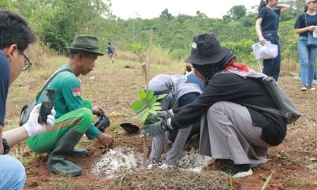 Sambut Plastic Free July, LindungiHutan Dorong Aksi Penanaman Pohon (Sumber: VRITIMES.com)