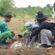 Sambut Plastic Free July, LindungiHutan Dorong Aksi Penanaman Pohon (Sumber: VRITIMES.com)