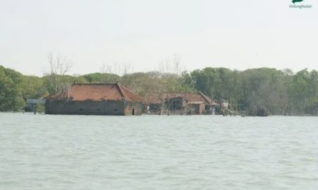 Desa Tenggelam Demak (Sumber : VRITIMES.com)