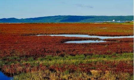 Danau Notoro di Abashiri Hokkaido (Sumber : VRITIMES.com)