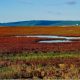 Danau Notoro di Abashiri Hokkaido (Sumber : VRITIMES.com)