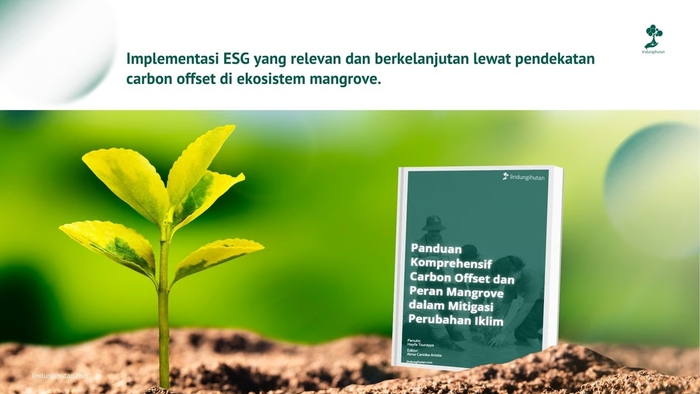 Ebook Carbon Offset (Sumber : VRITIMES.com)