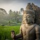 Ilustrasi Ubud Bali (Sumber : VRITIMES.COM)