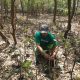 Warga Wonorejo Bangkitkan Ekonomi Lewat Rehabilitasi Mangrove Bersama LindungiHutan (Sumber : VRITIMES.com)