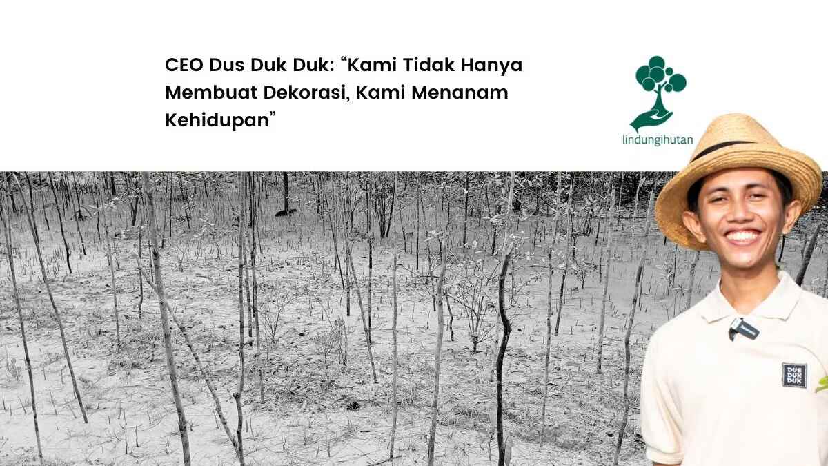 Bukan Sekadar CSR Mengapa Dus Duk Duk Percaya pada LindungiHutan (Sumber: VRITIMES.com)