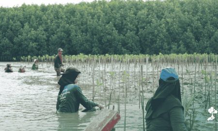 LindungiHutan Dorong Aksi Komunitas di Pantai Bahagia, Bekasi. Sumber : VRITIMES.com