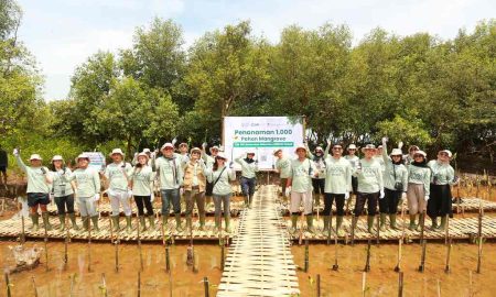Abrasi Ancam Pesisir Tangerang, BRI Danareksa Sekuritas Tanam 1000 Pohon Mangrove untuk Perkuat Ketahanan Pantai (Sumber: VRITIMES.com)