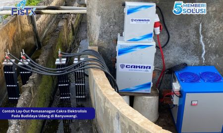 Era Baru Budidaya Udang Indonesia Tiba. Sumber : VRITIMES.com