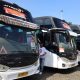 PAM JAYA Sediakan 15 Unit Bus. Sumber : vritimes.com