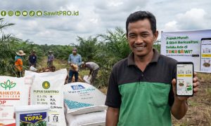 Di Tengah Ketidakpastian Global, SawitPRO Hadir Mempermudah Petani Mendapatkan Pupuk Sawit dan Benih Unggul. Sumber : VRITIMES.COM