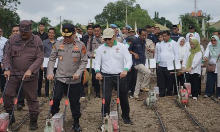 Dukung Ketahanan Pangan, Holding Perkebunan Nusantara Lewat PalmCo Perkuat Kemitraan Petani di Jambi. (Sumber : VRITIMES.com)