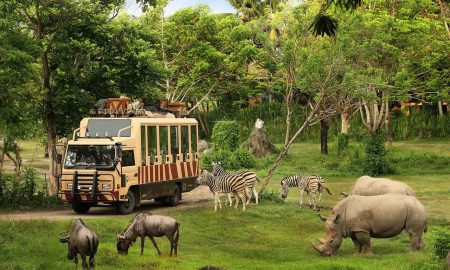 Taman Safari Indonesia Siap Dukung Transformasi Kebun Binatang Bandung sebagai Lembaga Konservasi Modern. sumber : vritimes.com
