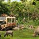 Taman Safari Indonesia Siap Dukung Transformasi Kebun Binatang Bandung sebagai Lembaga Konservasi Modern. sumber : vritimes.com
