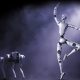 Unitree Diluncurkan di Indonesia, Bermitra dengan Halo Robotics untuk Membuka Pasar Terbesar Asia Tenggara bagi Robot Humanoid dan Quadruped. SUMBER : vritimes.com
