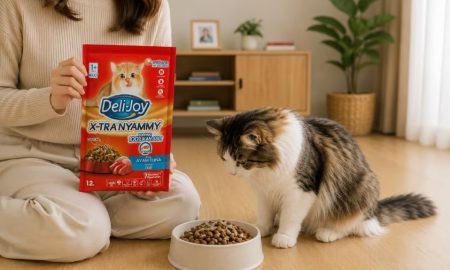 Dry Food Kucing yang Bagus untuk Kesehatan dan Nutrisi Anabul. sumber : vritimes,com