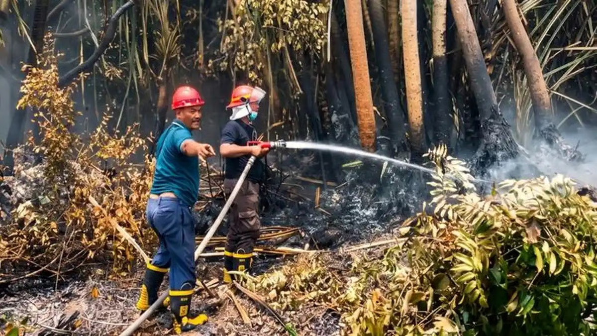 Antisipasi Karhutla, Holding perkebunan Nusantara melalui PTPN IV PalmCo Perkuat Deteksi Dini dan Patroli di Sumatera-Kalimantan. SUMBER : VRITIMES.COM