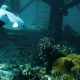 Bathymetry Survey dengan ROV Cara Memetakan Dasar Perairan Secara Akurat. sumber : vritimes.com
