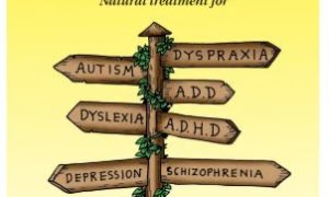 Atasi Masalah Leaky Gut, GAPS Diet Indonesia Edukasi Pola Makan Anti-Inflamasi untuk Pemulihan Kesehatan Holistik. sumber : vritimes.com