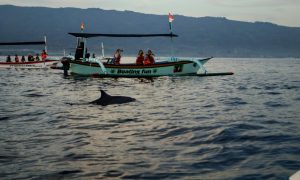 Menilik Seririt Titik Tenang di Barat Lovina yang Kian Dilirik Pemburu Slow Travel. sumber : vritimes.com