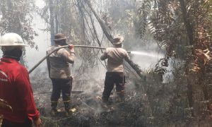 PTPN Group bersama Satgas Karhutla Kolaborasi Atasi Karhutla. (Sumber : VRITIMES.com)