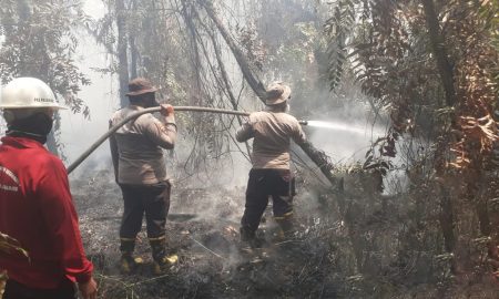 PTPN Group bersama Satgas Karhutla Kolaborasi Atasi Karhutla. (Sumber : VRITIMES.com)