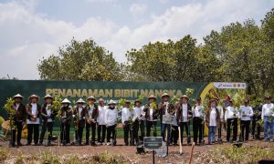 Perkuat Ketahanan Pangan dan Ekonomi Desa, Pertamina Gelar Panen Raya Nangka di Hutan Wanaboga Gunungkidul. (Sumber : VRITIMES.com)