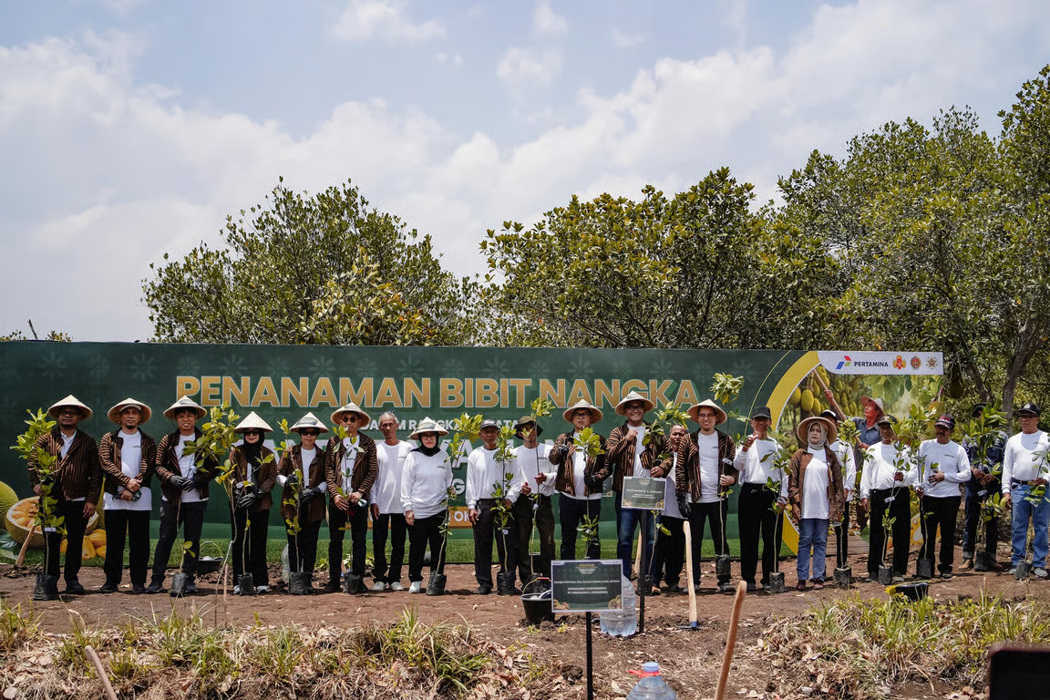 Perkuat Ketahanan Pangan dan Ekonomi Desa, Pertamina Gelar Panen Raya Nangka di Hutan Wanaboga Gunungkidul. (Sumber : VRITIMES.com)