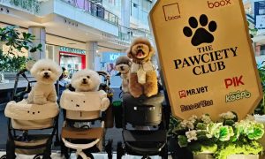 The Pawciety Club Bawa Dunia Dog Lovers ke PIK Avenue. SUMBER : VRITIMES.COM