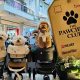 The Pawciety Club Bawa Dunia Dog Lovers ke PIK Avenue. SUMBER : VRITIMES.COM