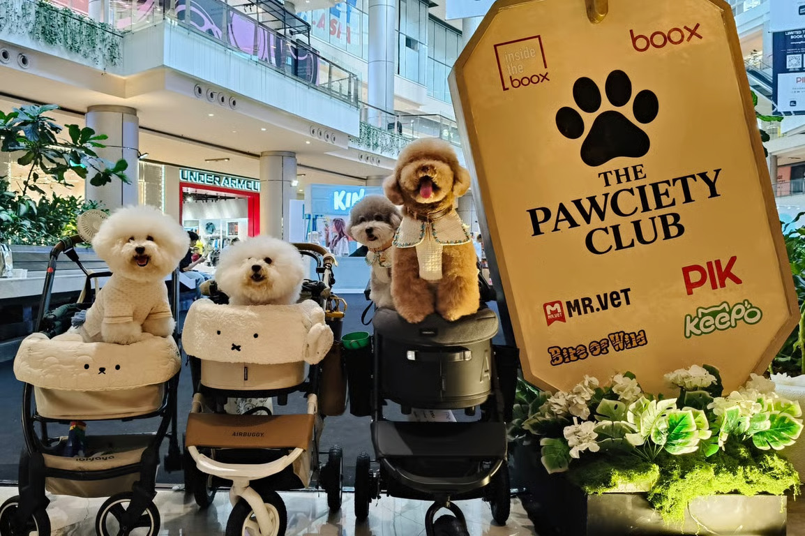 The Pawciety Club Bawa Dunia Dog Lovers ke PIK Avenue. SUMBER : VRITIMES.COM